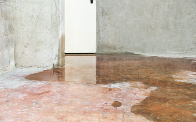 Why Ignoring a Small Basement Leak Leads to Massive Foundation Repair Costs